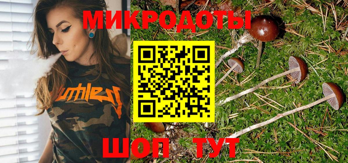 Псилоцибиновые грибы Psilocybine cubensis Ярцево
